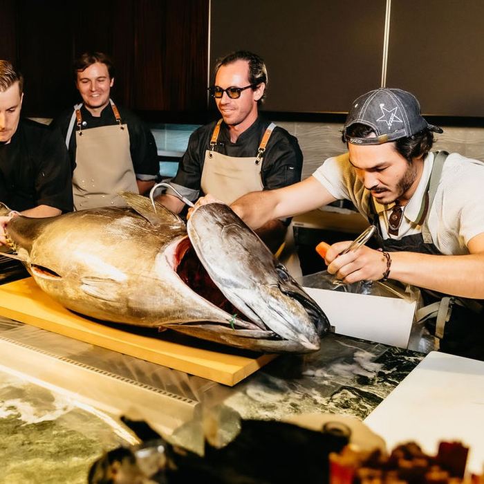 The team working a whole bluefin on the board.